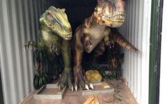 Self Pack Containers