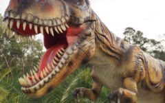 Commercial Shipping Container Transport